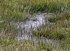 200908_valdevela-9.JPG