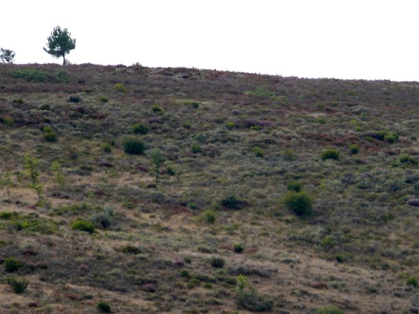 200908_valdevela-10.JPG