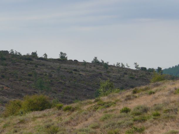 200908_valdevela-11.JPG