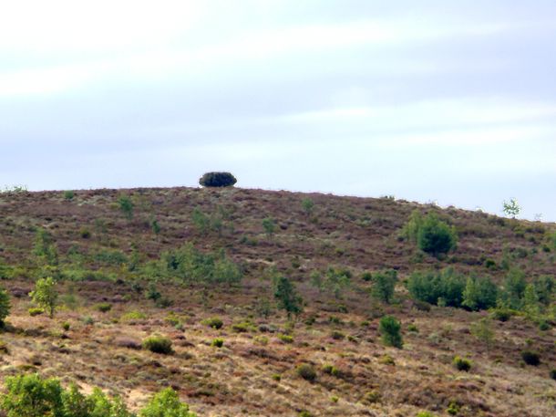 200908_valdevela-12.JPG