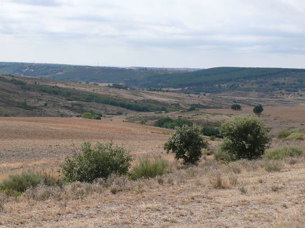 200908_valdevela-15.JPG