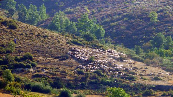200908_valle-15.JPG