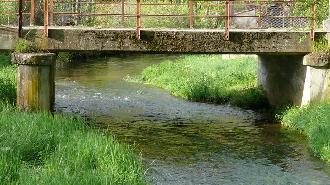 abril 2011 paseo 64.jpg