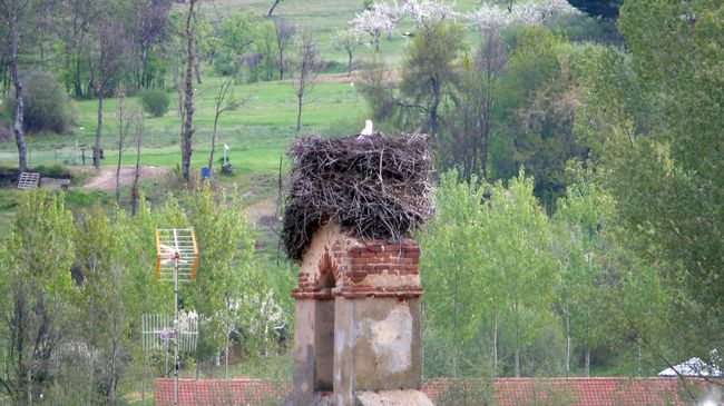 abril 2011 paseo 85.jpg