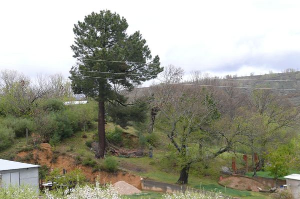 abril 2011 paseo 16.jpg