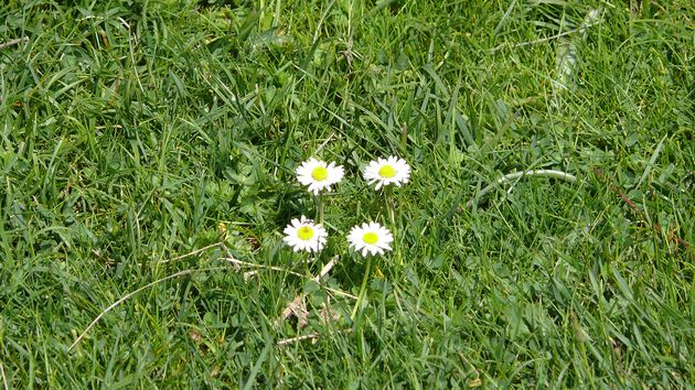 abril 2011 paseo 36.jpg