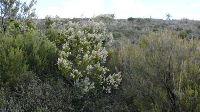 abril 2011 paseo 40.jpg