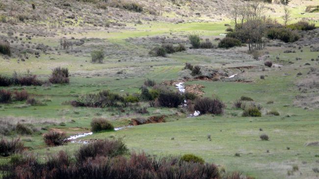 abril 2011 paseo 42.jpg